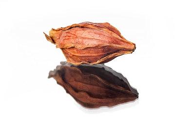 水下心理恐怖游戏《Dark Mass》将在2026年秋多平台登陆